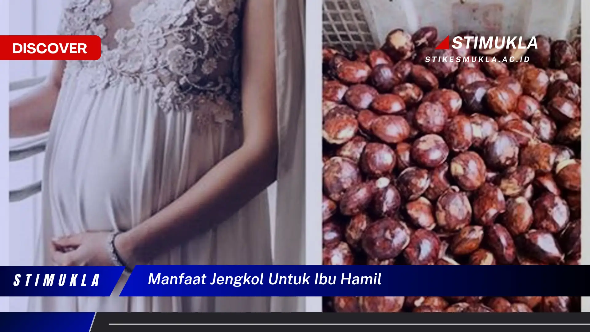 manfaat jengkol untuk ibu hamil