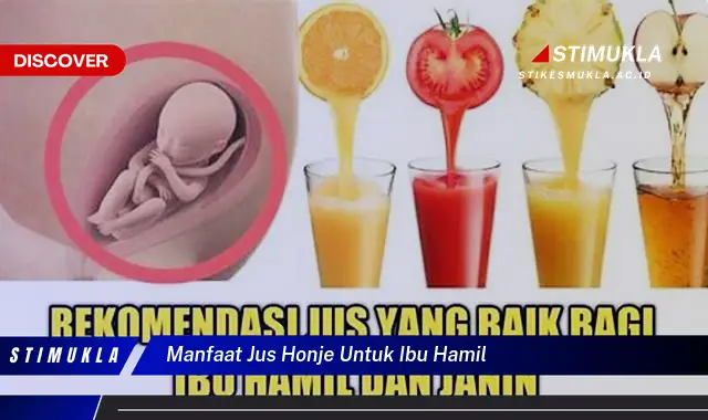 Ketahui 10 Manfaat Jus Honje untuk Ibu Hamil yang Jarang Diketahui Dokter