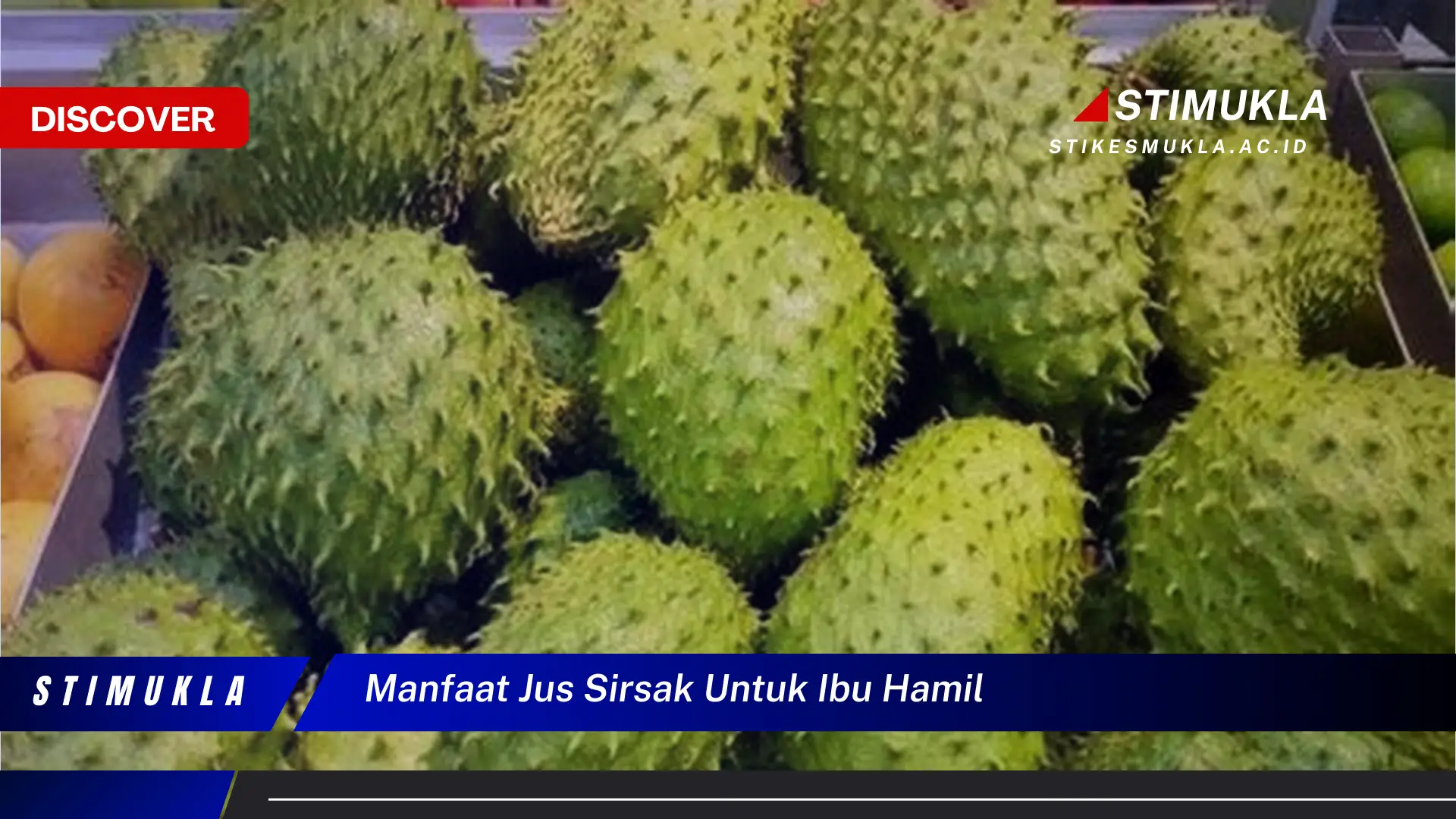 manfaat jus sirsak untuk ibu hamil manfaat jus sirsak untuk ibu hamil