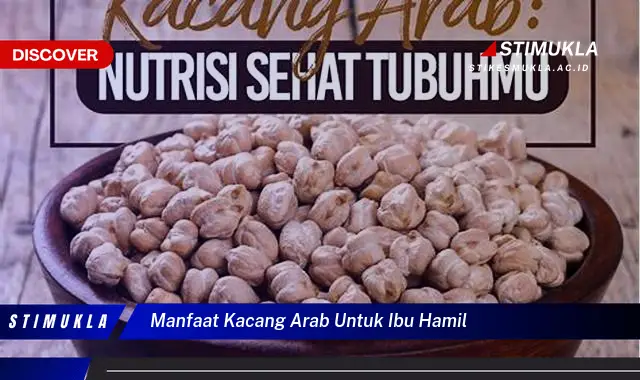 manfaat kacang arab untuk ibu hamil