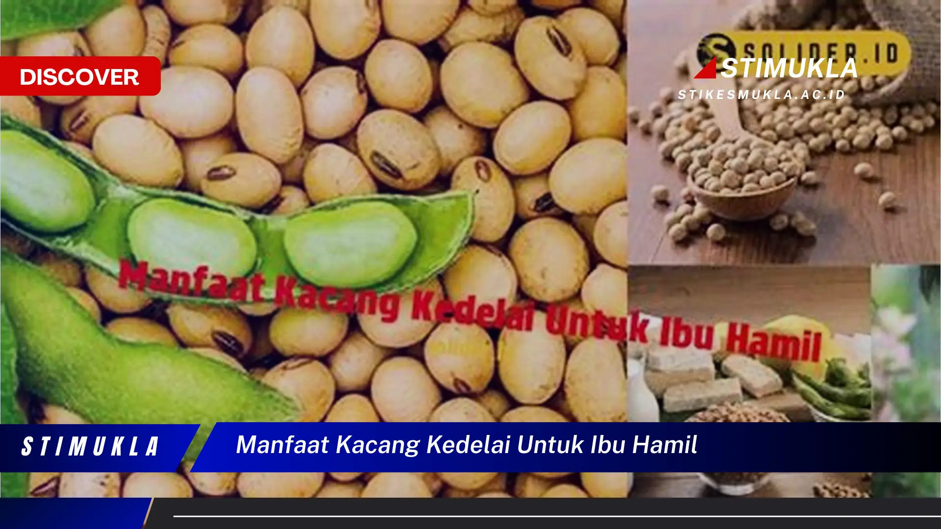 manfaat kacang kedelai untuk ibu hamil manfaat kacang kedelai untuk ibu hamil