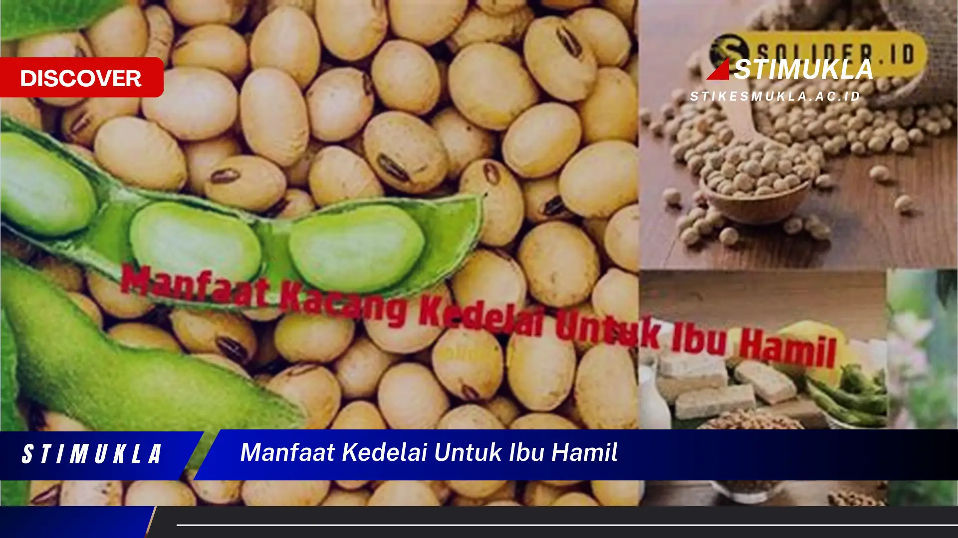 manfaat kedelai untuk ibu hamil