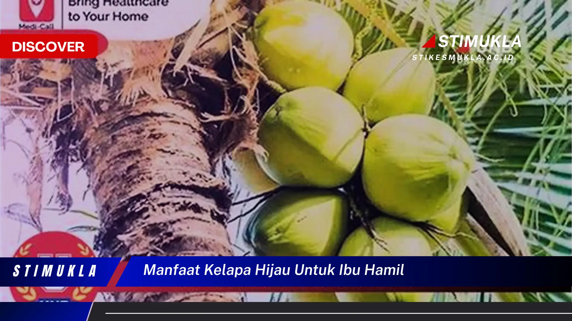 manfaat kelapa hijau untuk ibu hamil