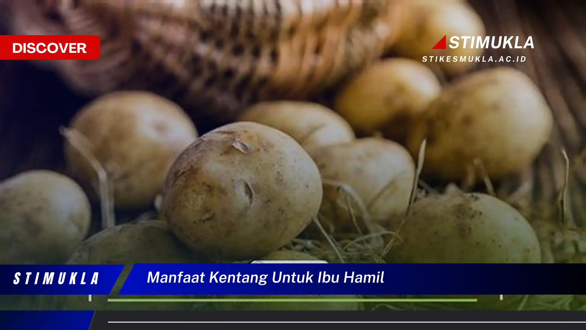 manfaat kentang untuk ibu hamil