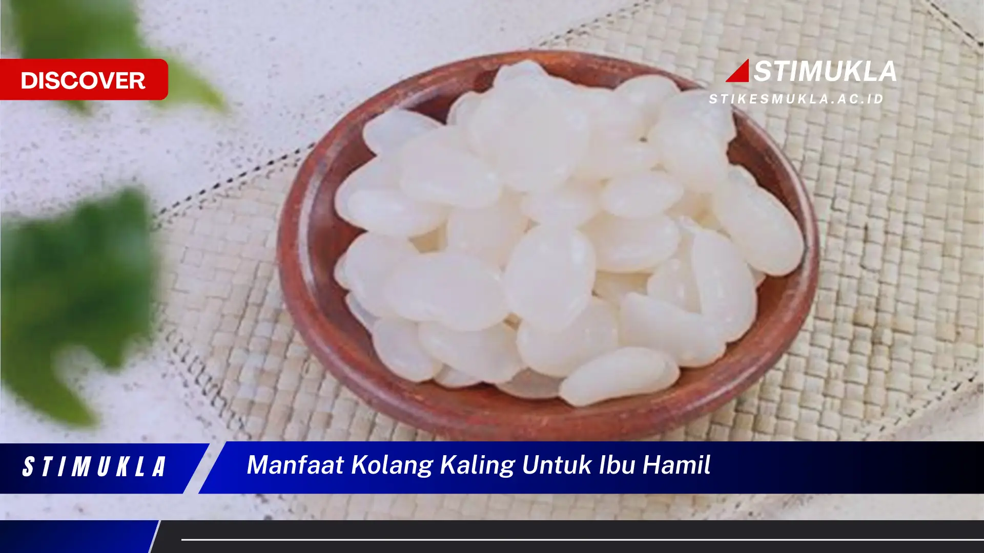 manfaat kolang kaling untuk ibu hamil