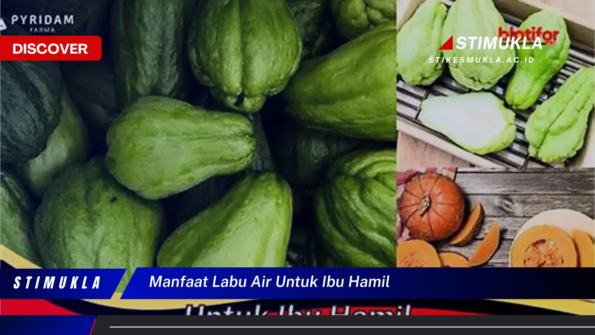 manfaat labu air untuk ibu hamil