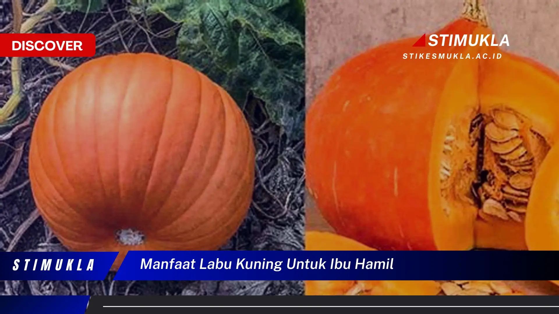 manfaat labu kuning untuk ibu hamil