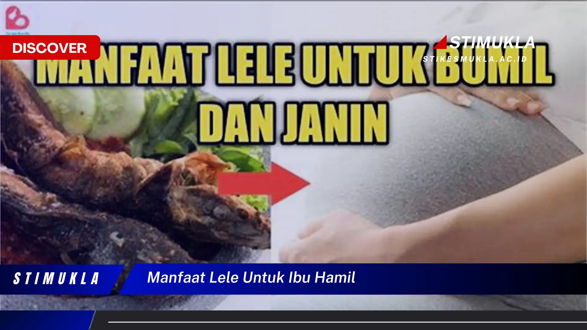 manfaat lele untuk ibu hamil