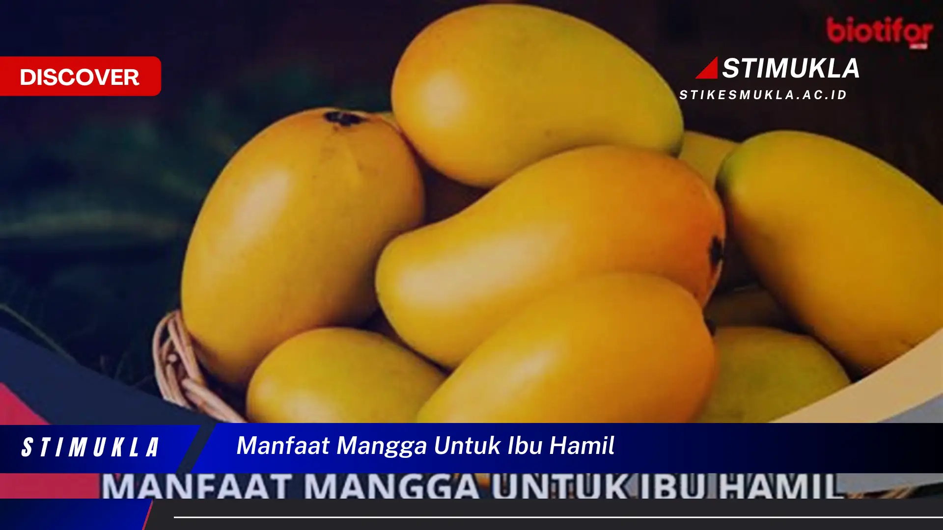 manfaat mangga untuk ibu hamil