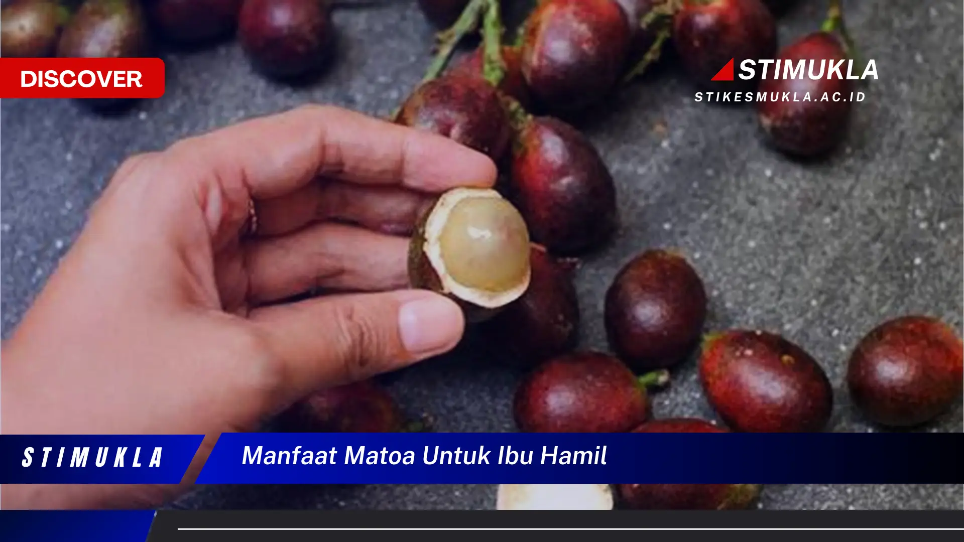 manfaat matoa untuk ibu hamil