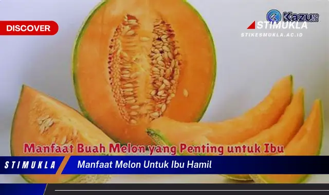 manfaat melon untuk ibu hamil