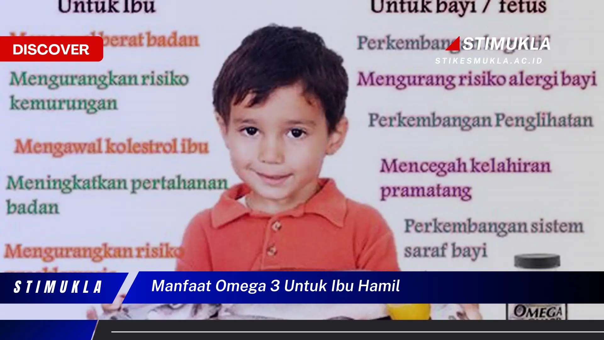 manfaat omega 3 untuk ibu hamil