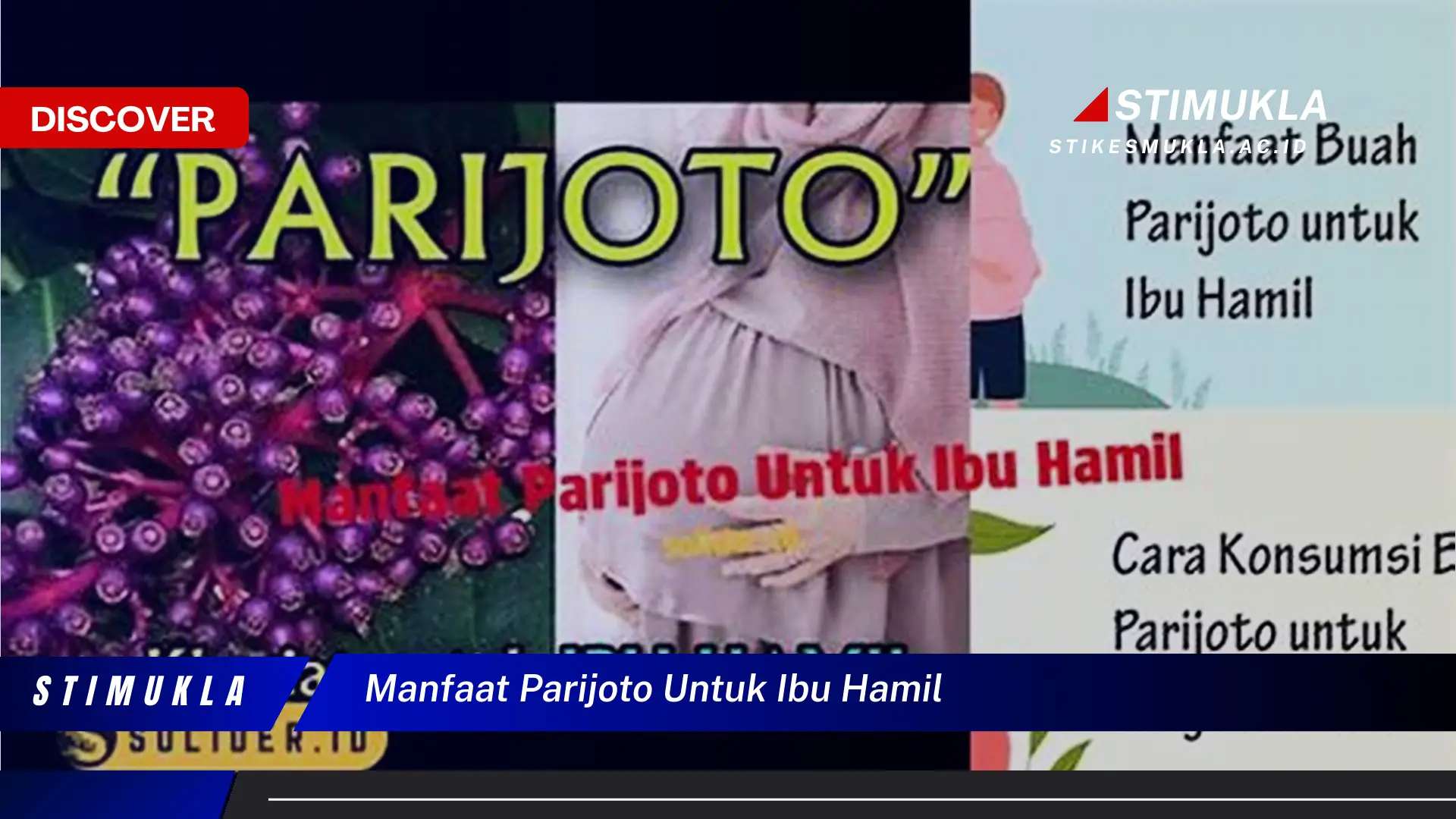 manfaat parijoto untuk ibu hamil