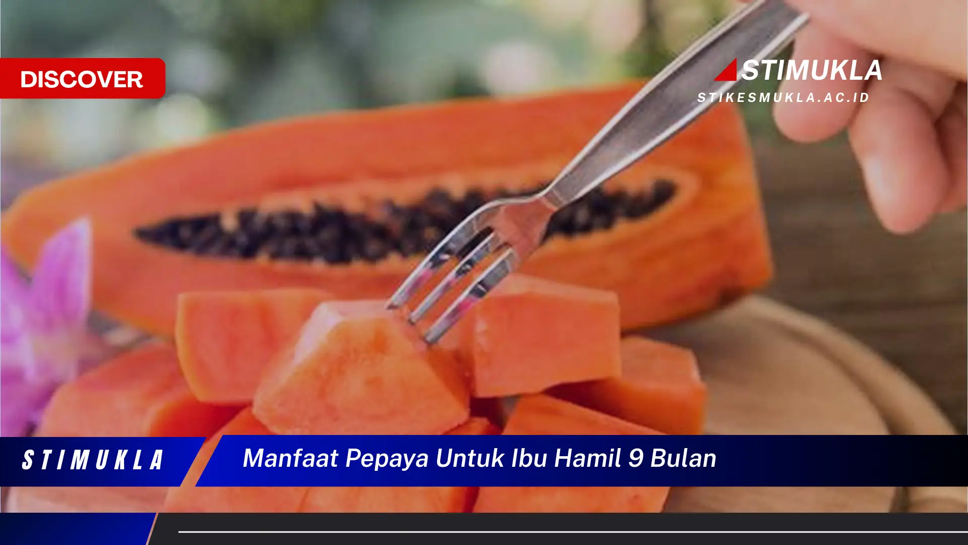 manfaat pepaya untuk ibu hamil 9 bulan