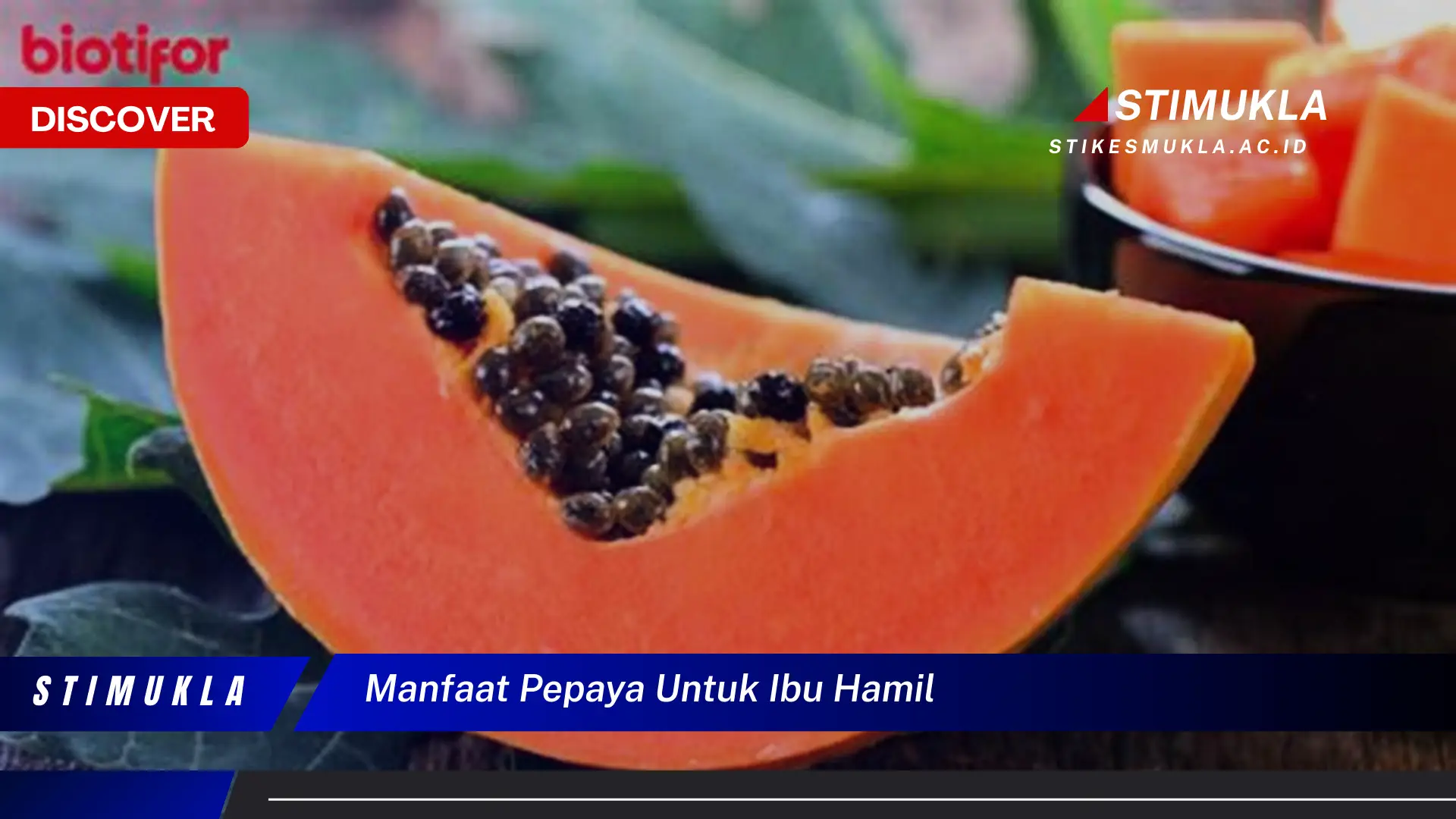 manfaat pepaya untuk ibu hamil