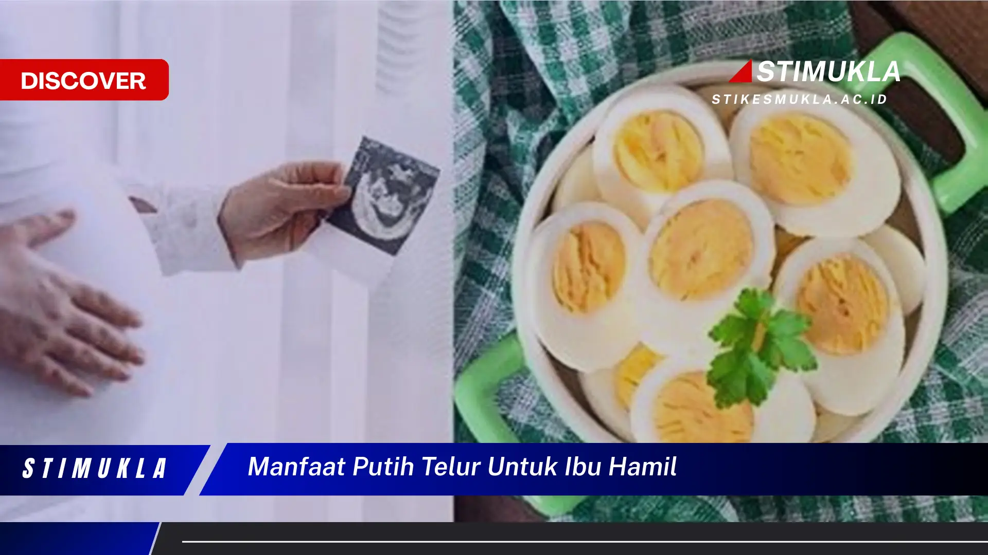 manfaat putih telur untuk ibu hamil