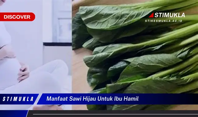 manfaat sawi hijau untuk ibu hamil