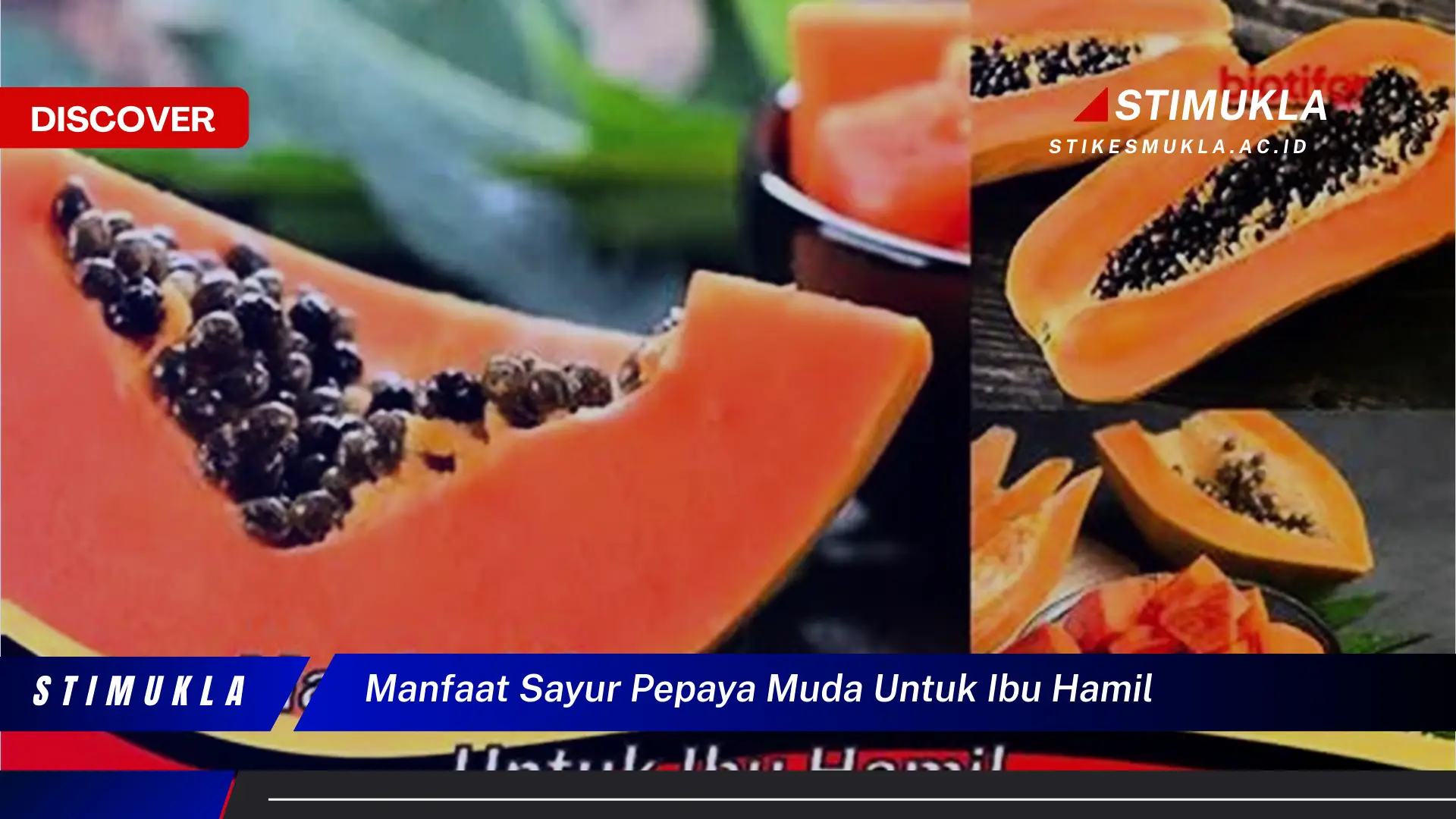 manfaat sayur pepaya muda untuk ibu hamil