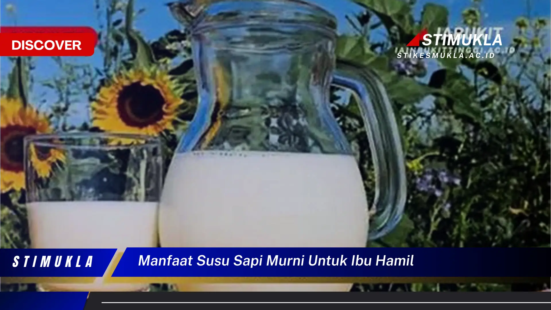 manfaat susu sapi murni untuk ibu hamil