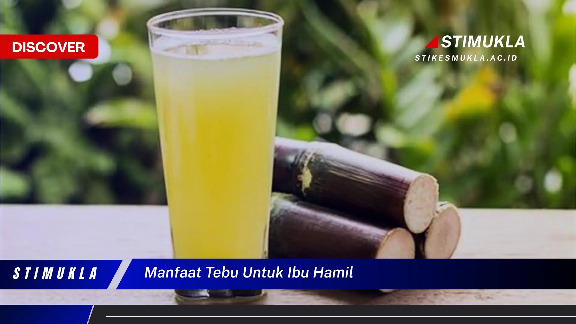 manfaat tebu untuk ibu hamil