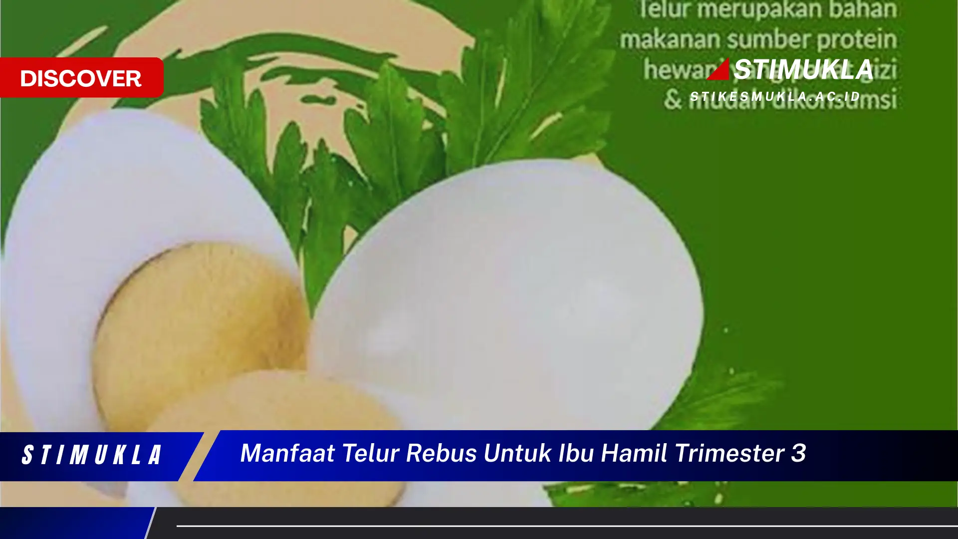 manfaat telur rebus untuk ibu hamil trimester 3 manfaat telur rebus untuk ibu hamil trimester 3