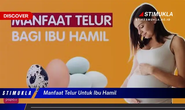 manfaat telur untuk ibu hamil