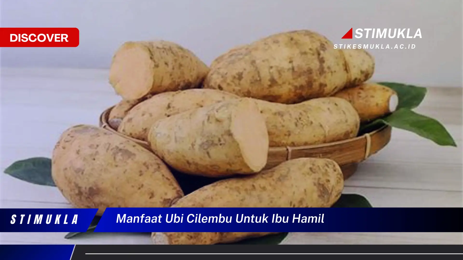 manfaat ubi cilembu untuk ibu hamil