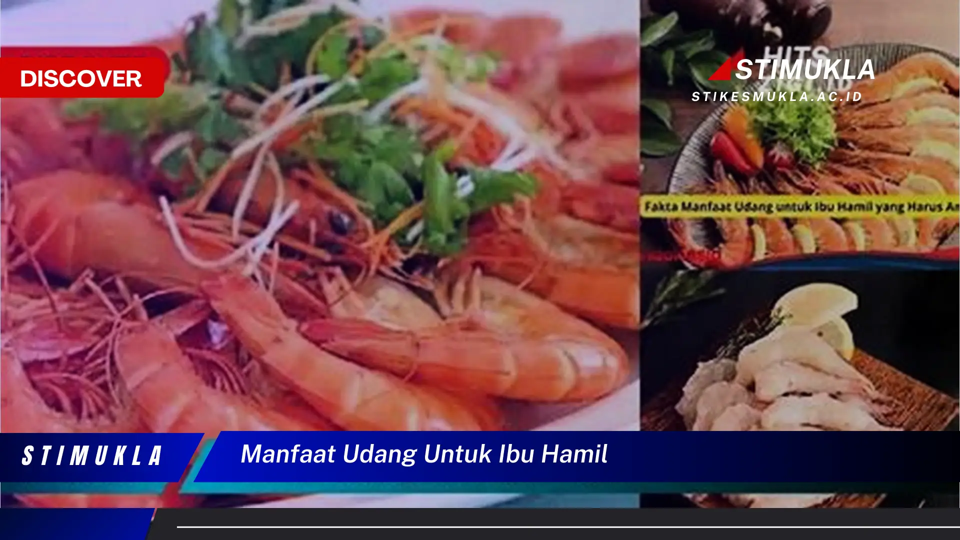 manfaat udang untuk ibu hamil manfaat udang untuk ibu hamil