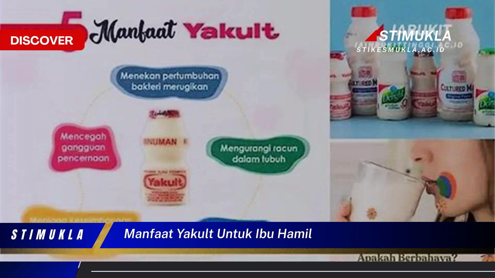 manfaat yakult untuk ibu hamil