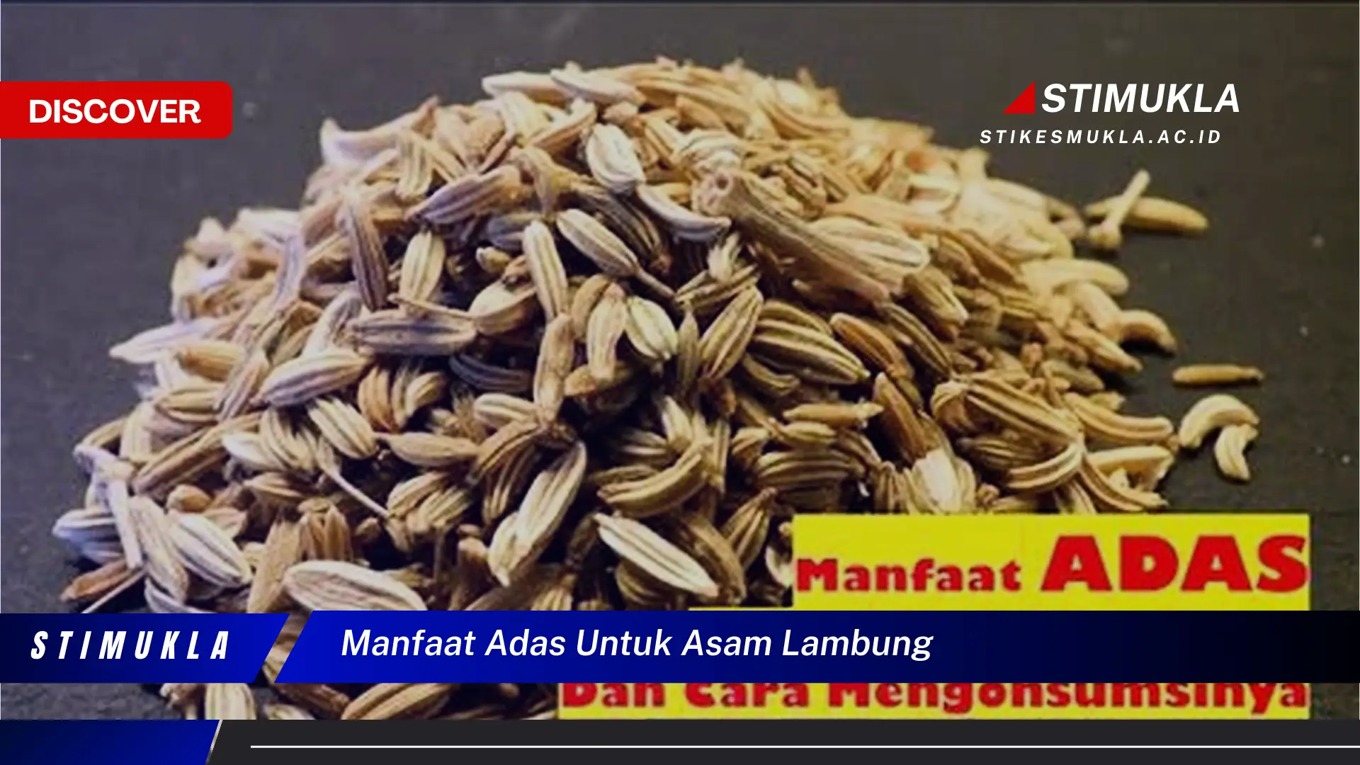 manfaat adas untuk asam lambung