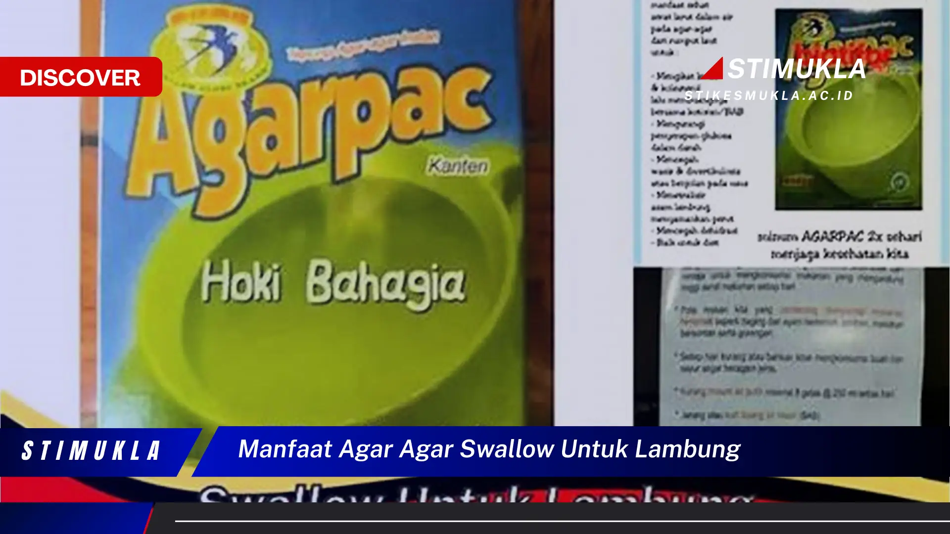 manfaat agar agar swallow untuk lambung