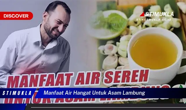 manfaat air hangat untuk asam lambung