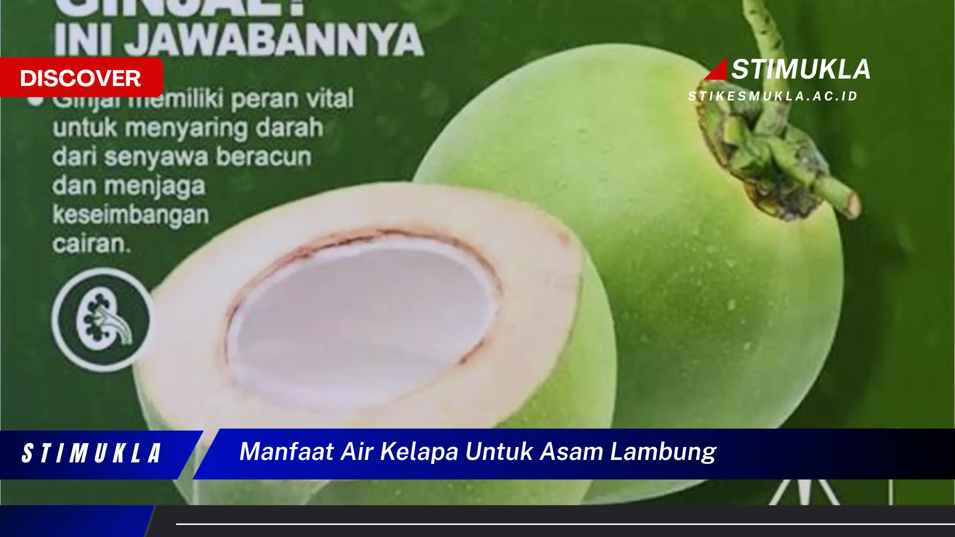 manfaat air kelapa untuk asam lambung