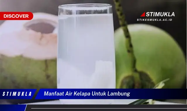 manfaat air kelapa untuk lambung