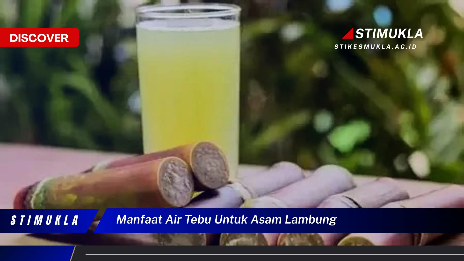 manfaat air tebu untuk asam lambung