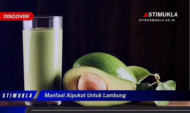 manfaat alpukat untuk lambung