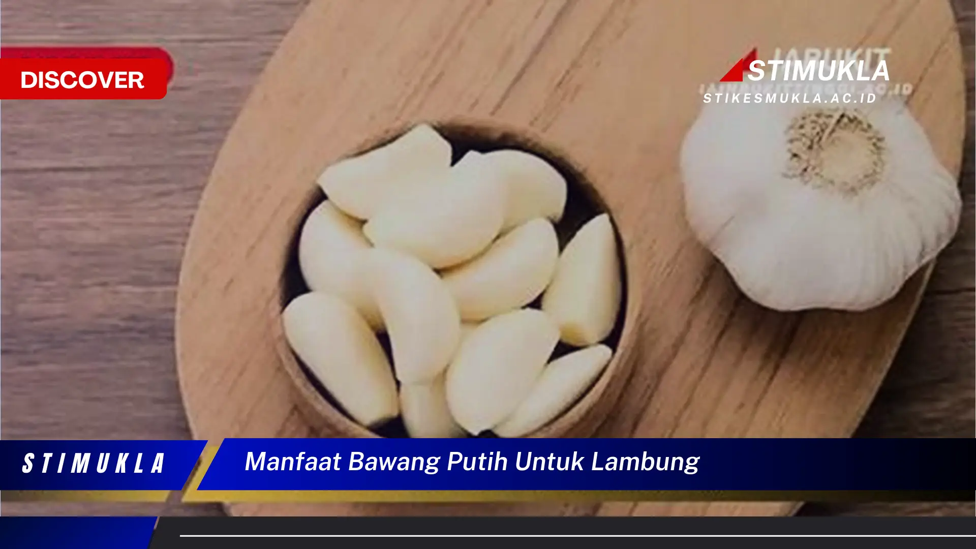 manfaat bawang putih untuk lambung