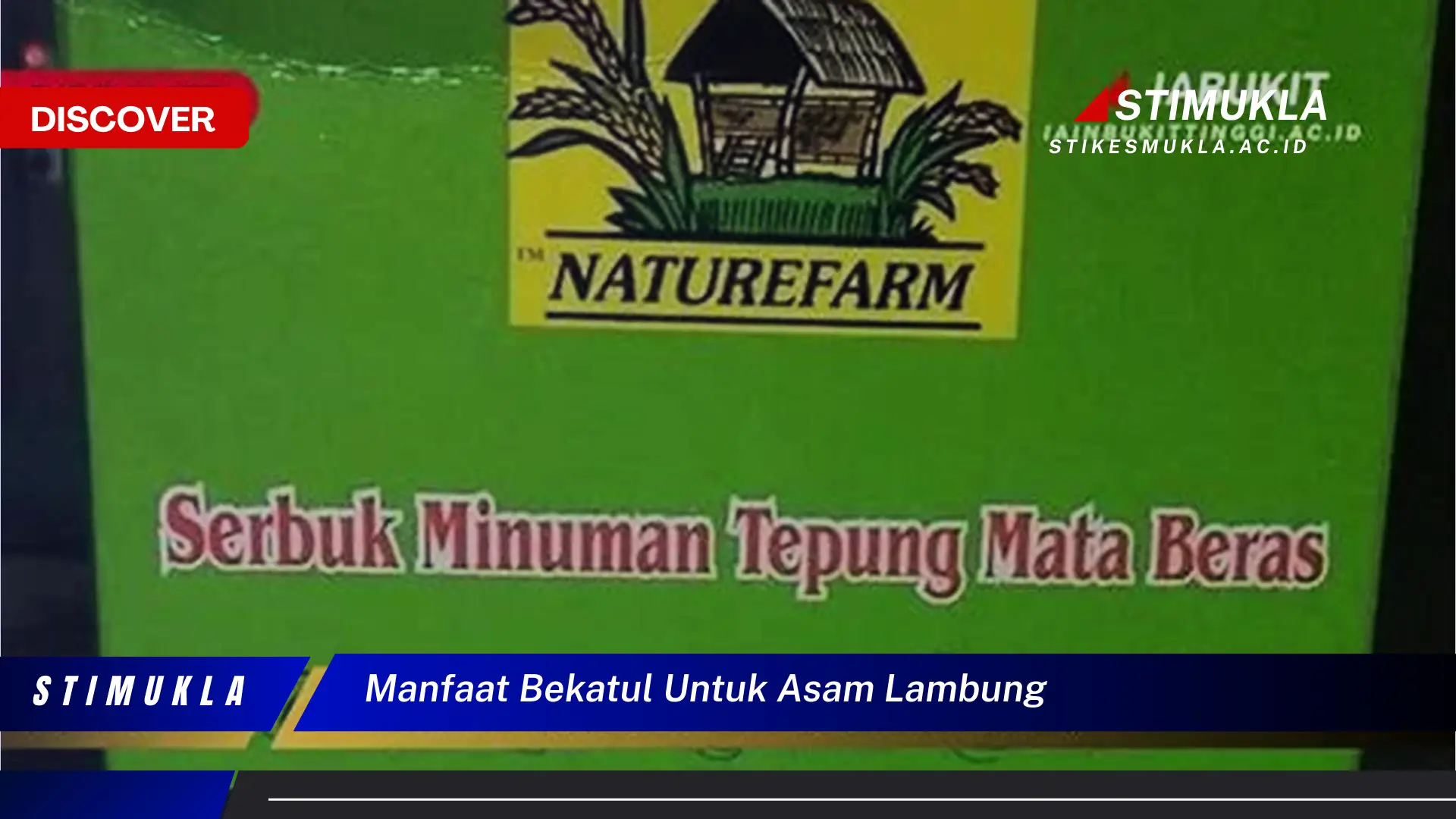 Temukan Manfaat Bekatul untuk Atasi Asam Lambung