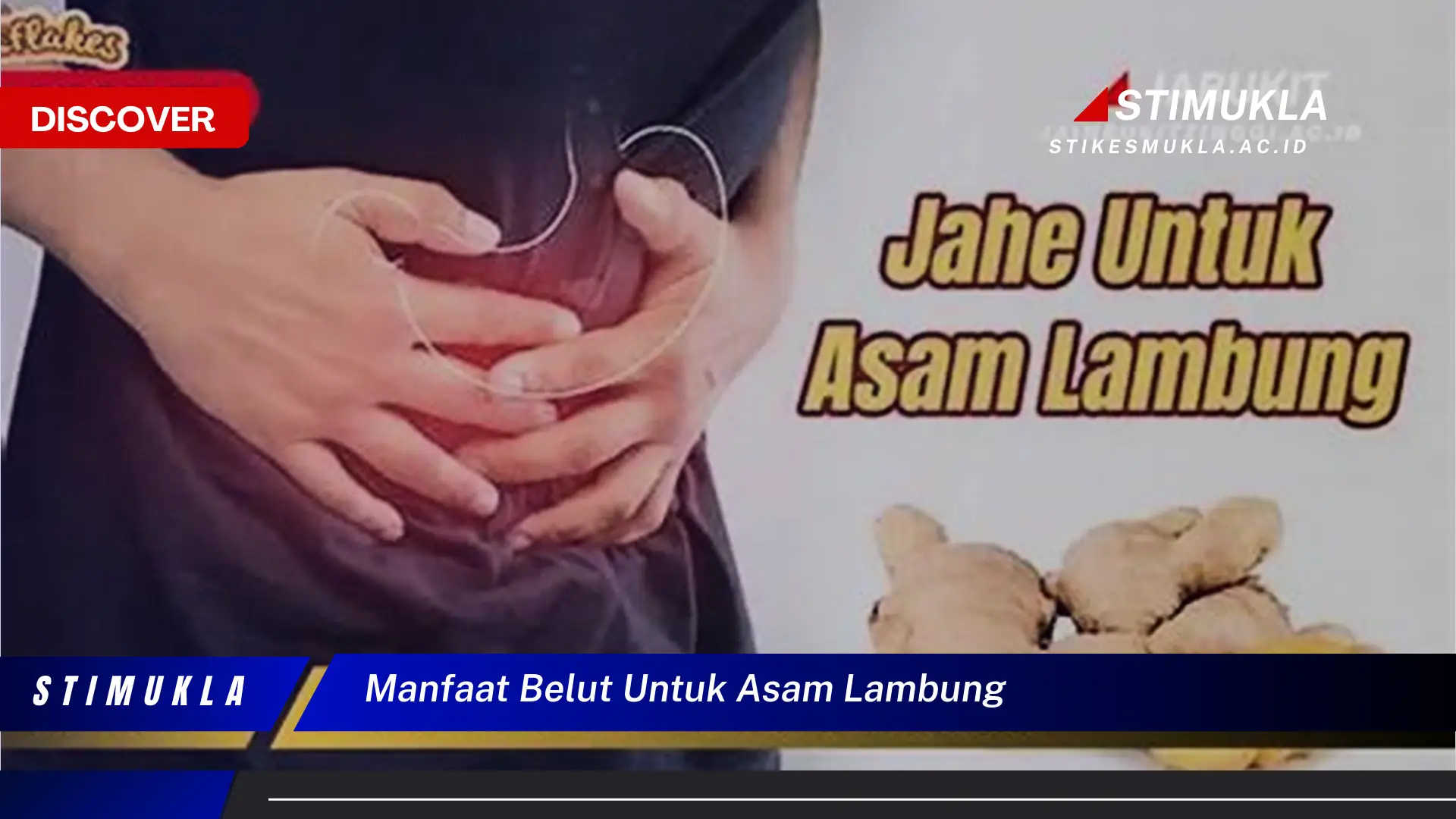 manfaat belut untuk asam lambung