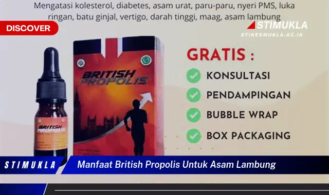 manfaat british propolis untuk asam lambung