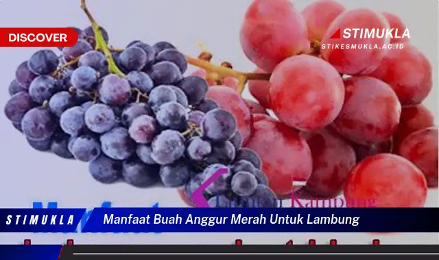 manfaat buah anggur merah untuk lambung