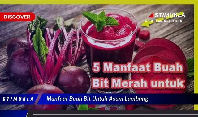 manfaat buah bit untuk asam lambung