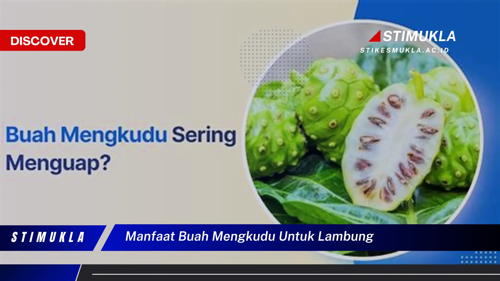 manfaat buah mengkudu untuk lambung