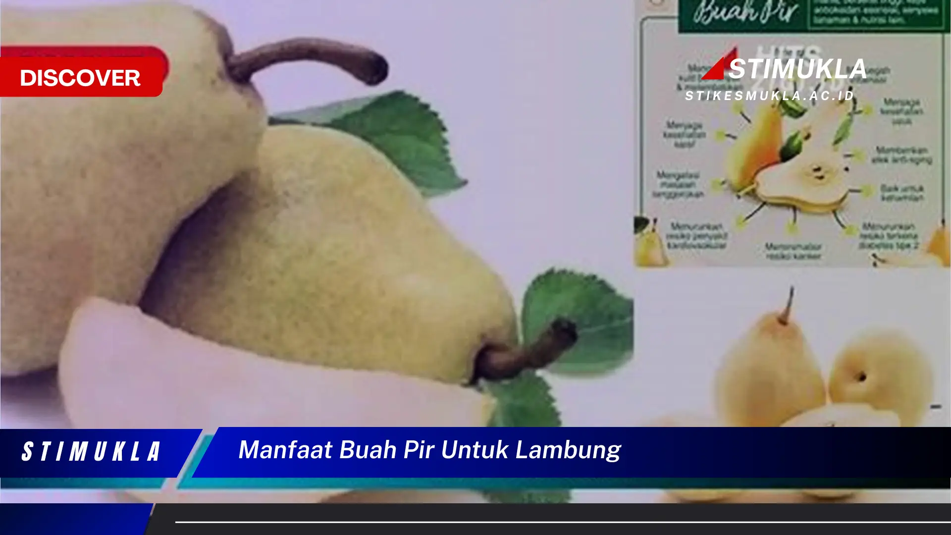 manfaat buah pir untuk lambung