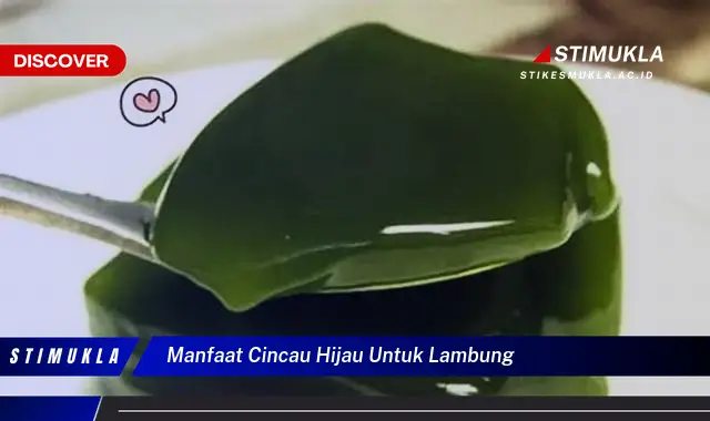 manfaat cincau hijau untuk lambung