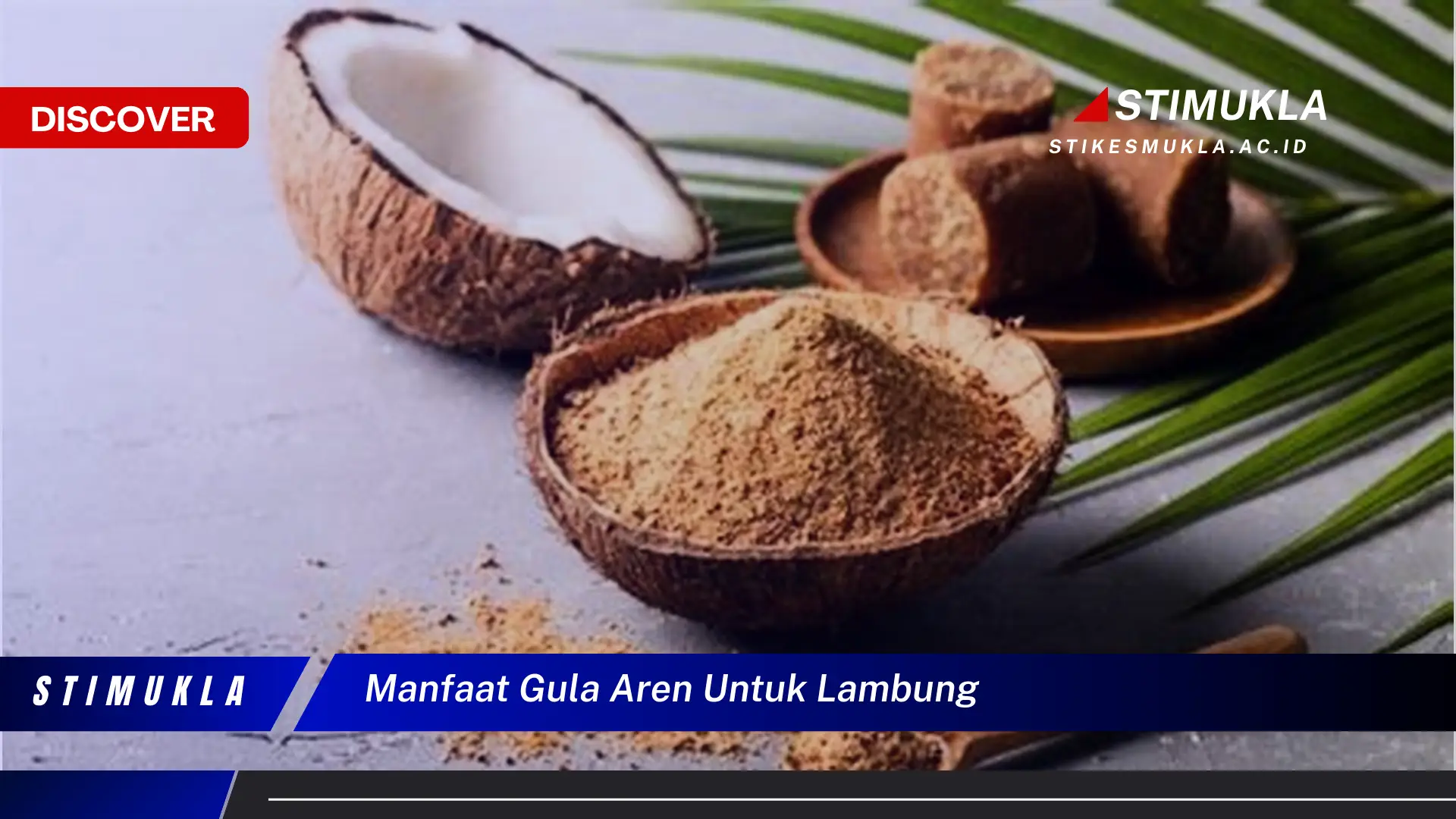 manfaat gula aren untuk lambung