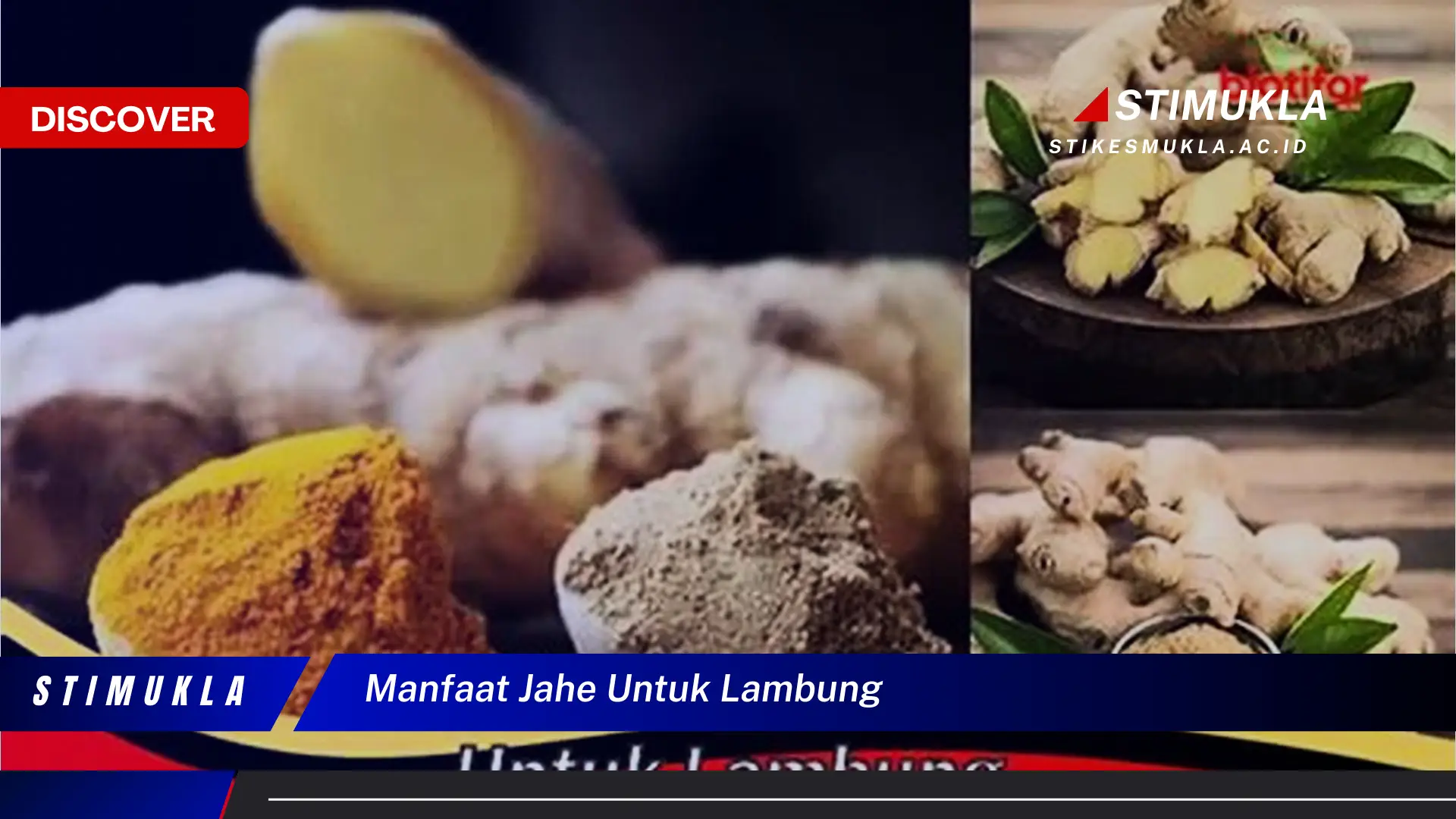 manfaat jahe untuk lambung