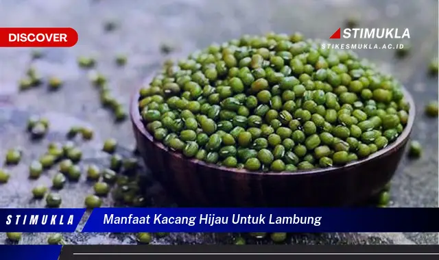 manfaat kacang hijau untuk lambung