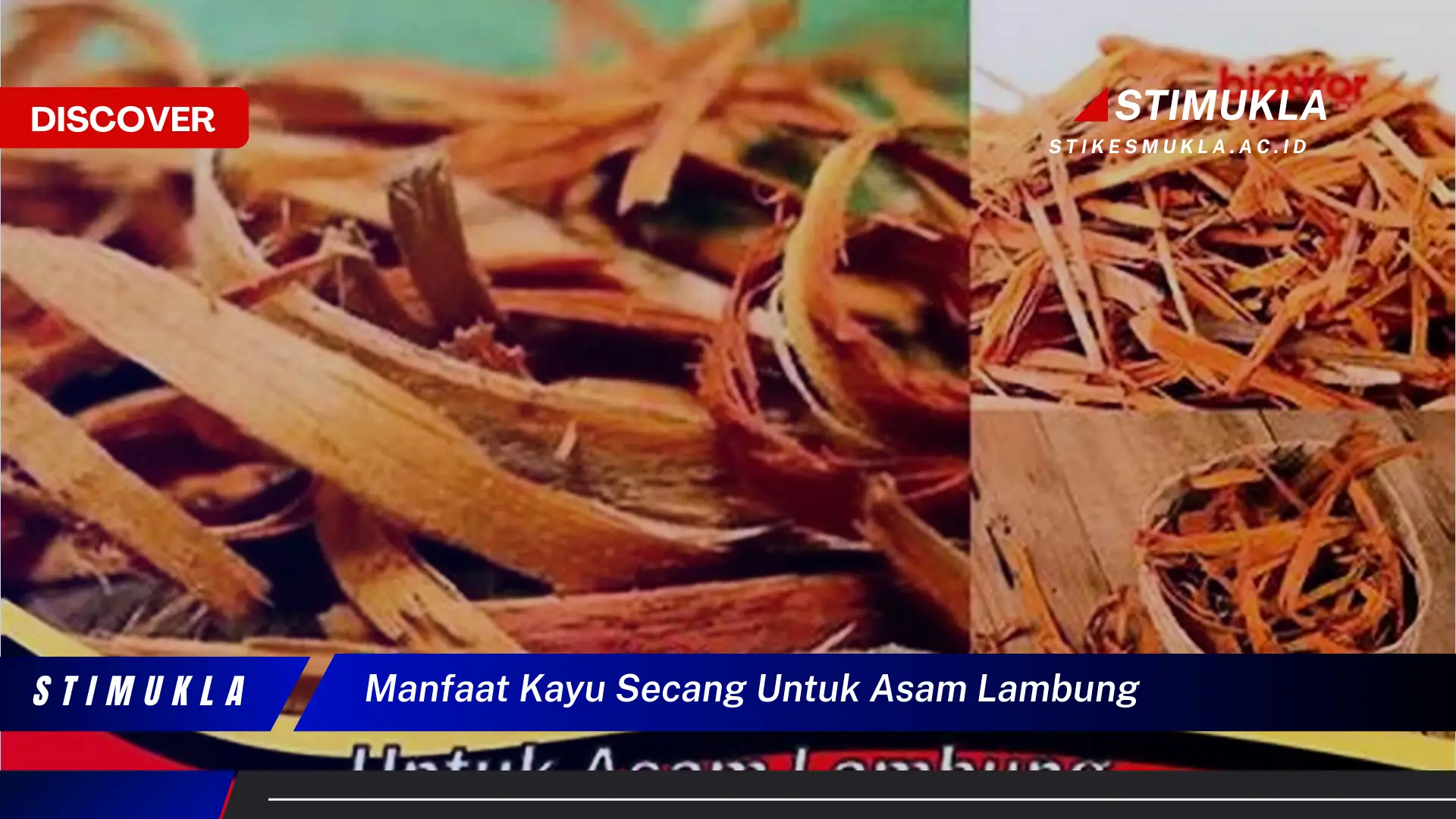 manfaat kayu secang untuk asam lambung