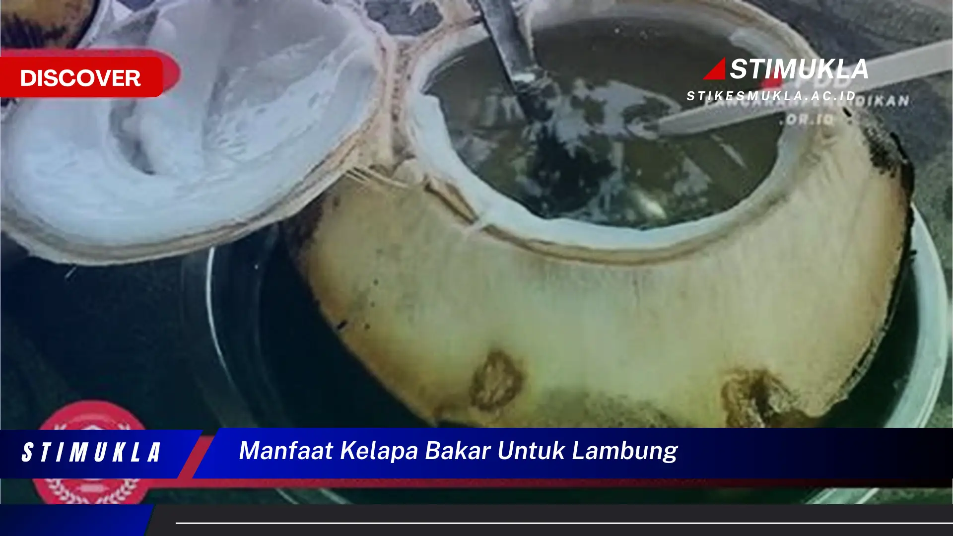 Temukan Manfaat Kelapa Bakar untuk Lambung Sehat Anda